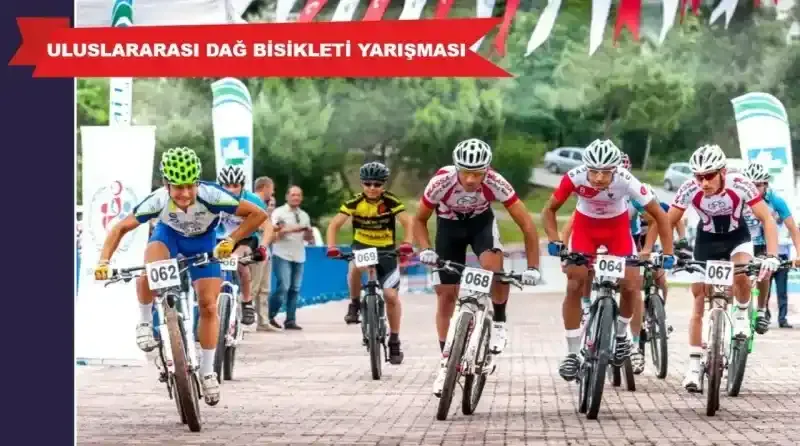 Hürriyet: Uluslararası yarışmalar ve festivaller düzenleyeceğiz