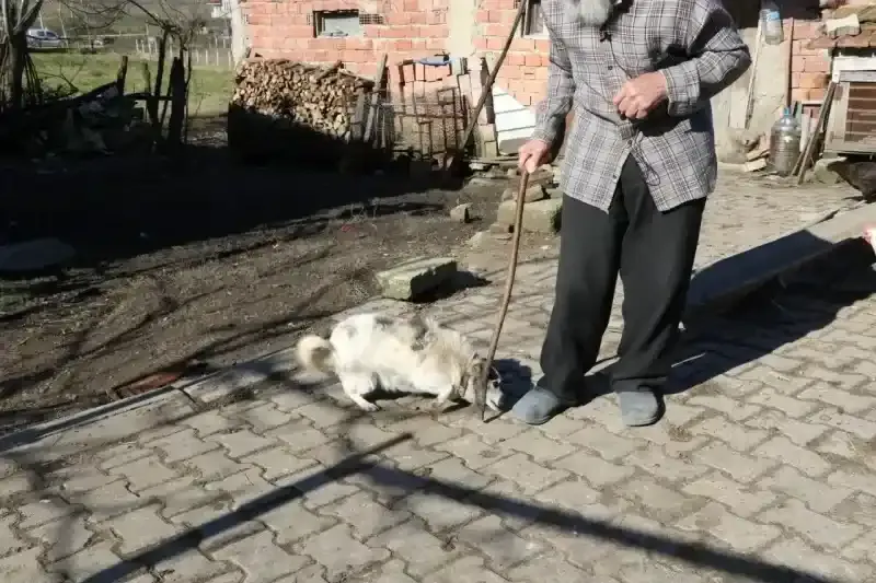 Candan çiftini Büyükşehir yalnız bırakmadı
