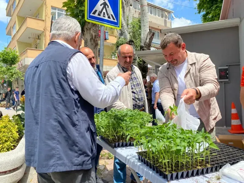 İzmit Belediyesi 43 bin fideyi vatandaşlara dağıttı
