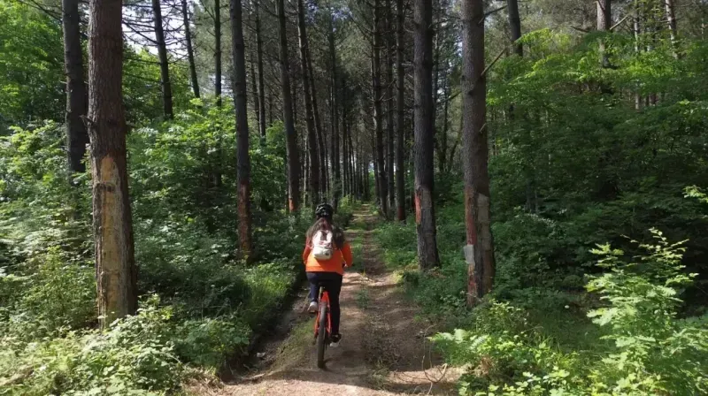 Kurban Bayramı tatilinde Kocaeli'nin en güzel rotaları