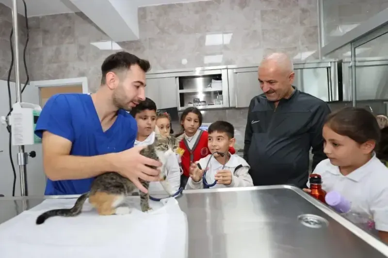 Gebze’de 309 patili dost yeni yuva buldu