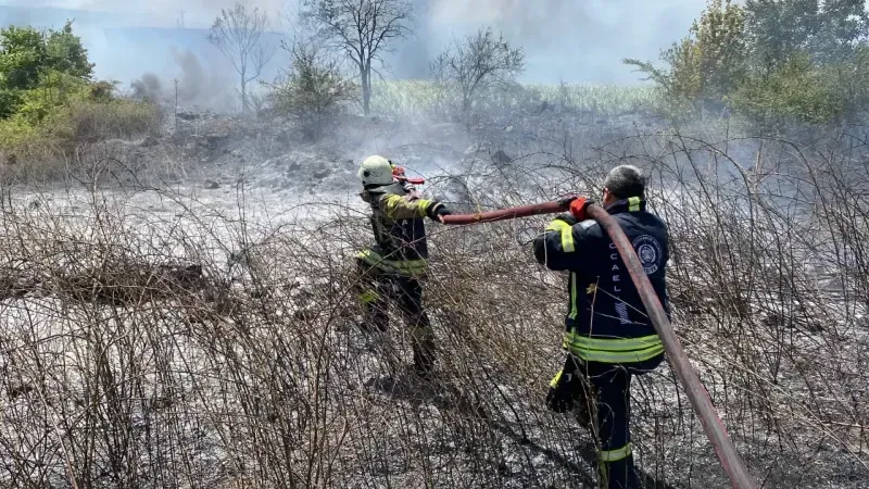 Kocaeli'de otluk alanda korkutan yangın