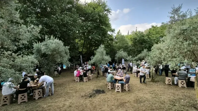 Derince'de sağlık için yürüdüler