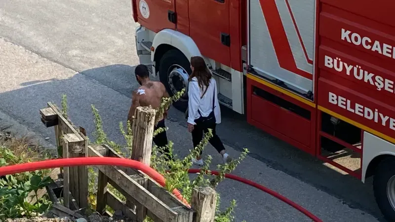 İzmit'te ahır yangını! 13 büyükbaş ve bir eşek telef oldu