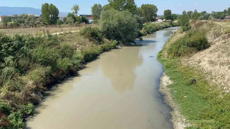 Beypiliç ve Erpiliç’ten çevre katliamı: 2 milyon lira ceza kesildi