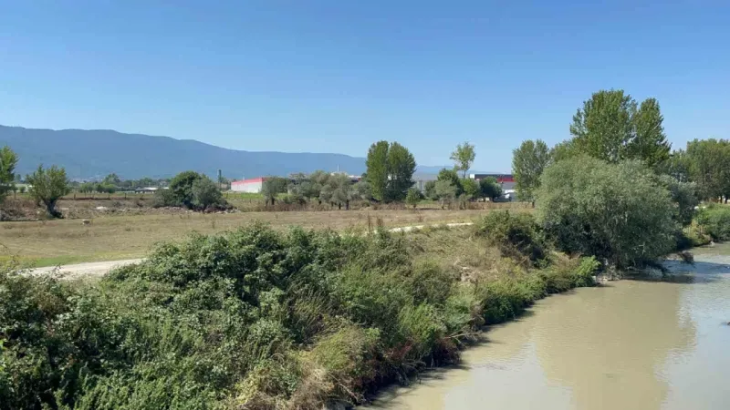 Beypiliç ve Erpiliç’ten çevre katliamı: 2 milyon lira ceza kesildi