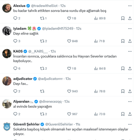 Sokak köpekleri için kapının önüne yemek attı, dayağı yedi!