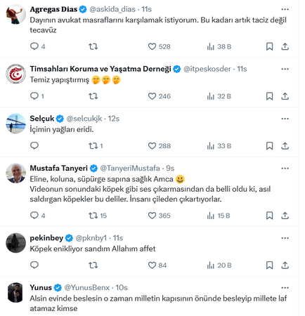 Sokak köpekleri için kapının önüne yemek attı, dayağı yedi!