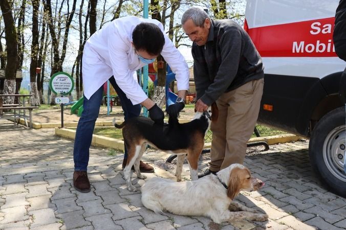 Ambarcı’nın sevimli patileri Patibüs ile aşılandı