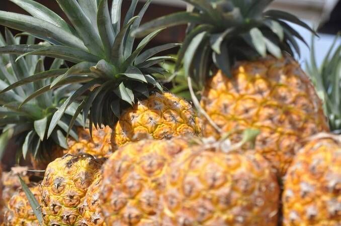 Ananas yemeden önce bilmeniz gereken 25 gerçek