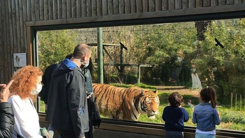 Tatilin tadını çıkartarak eğlenebileceğiniz ,Kocaeli'ndeki çocuk aktiviteleri