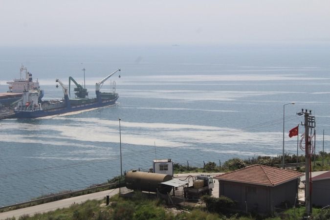 İzmit Körfezi'nde deniz salyası yeniden ortaya çıktı