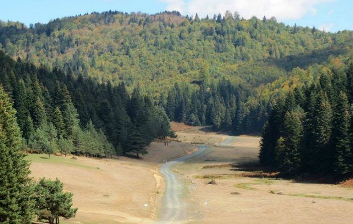 Kocaeli'nin en güzel doğa yürüyüşü rotaları 