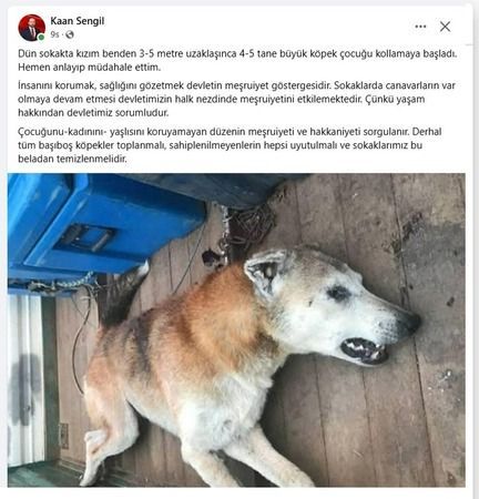 Kaan Şengil: Hepsi uyutulmalı ve sokaklarımız bu beladan temizlenmelidir.