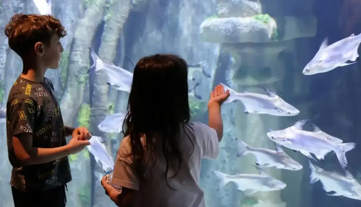 Körfez Aqua Kıtalar Akvaryumu 1 hafta daha ücretsiz ziyaret edilebilecek