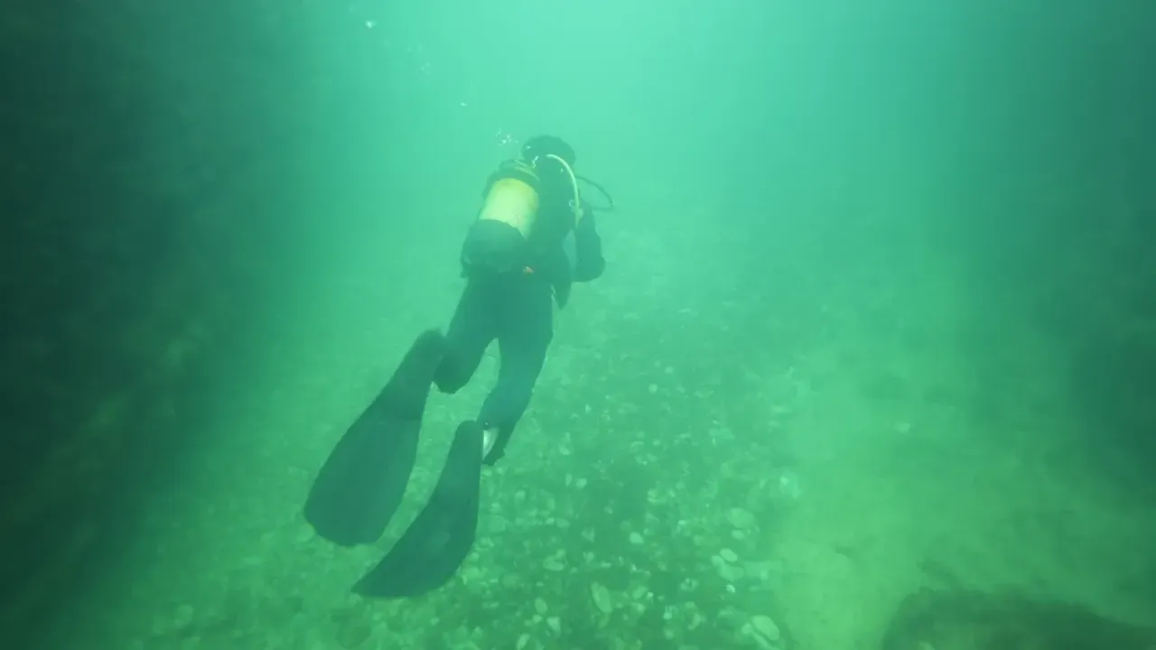 Kocaeli'de dalış turizmi canlanıyor! 