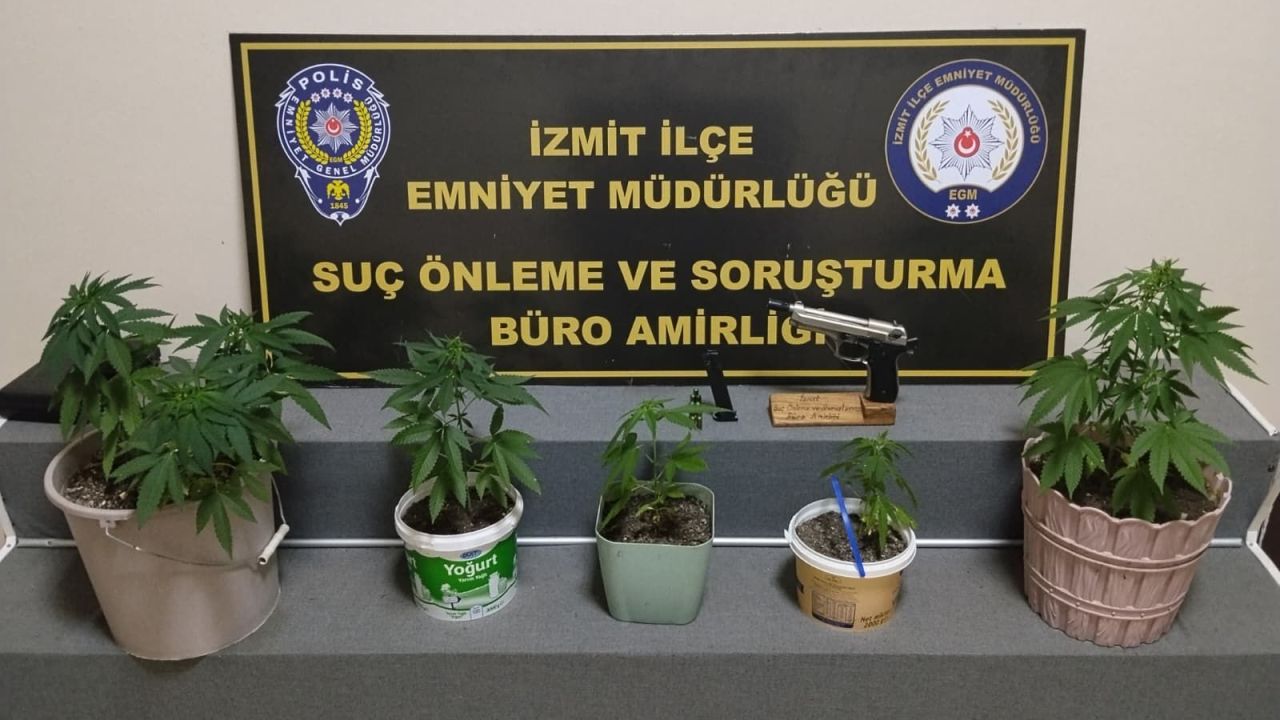 Evindeki saksılarda Hint keneviri yetiştirirken yakalandı