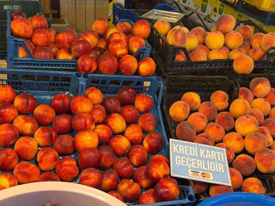Doğu Kışla’da yaz meyvesi hesabı: Sepet 2 bin TL’yi aşıyor