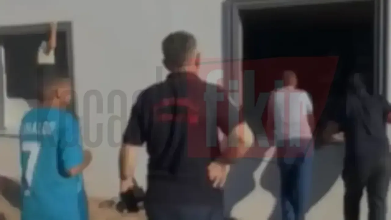 Yukarı Hereke'de yılan paniği