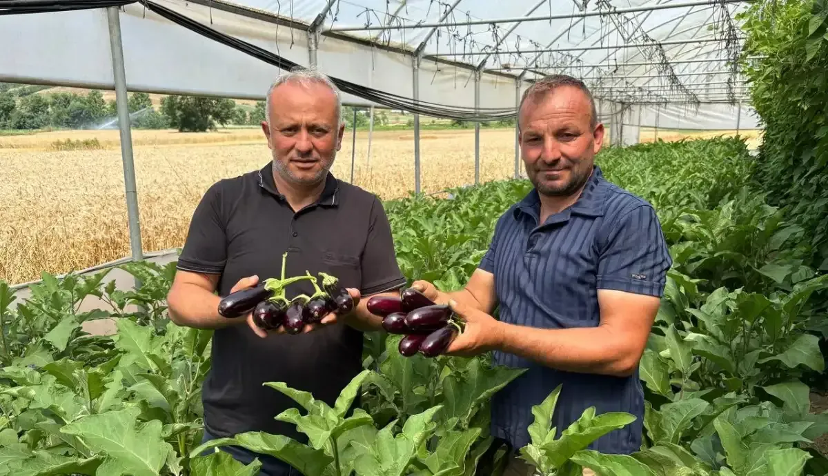Sera Desteği çiftçinin yüzünü güldürdü