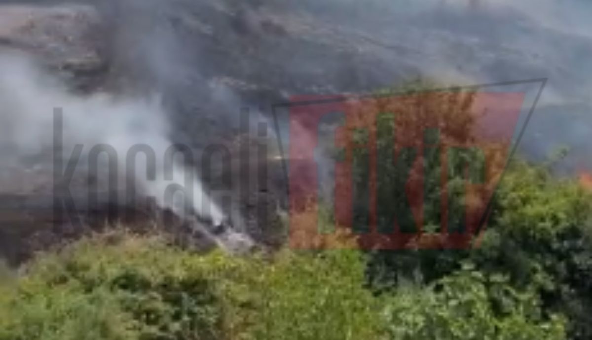 Darıca'da otluk alanda çıkan yangın paniğe neden oldu