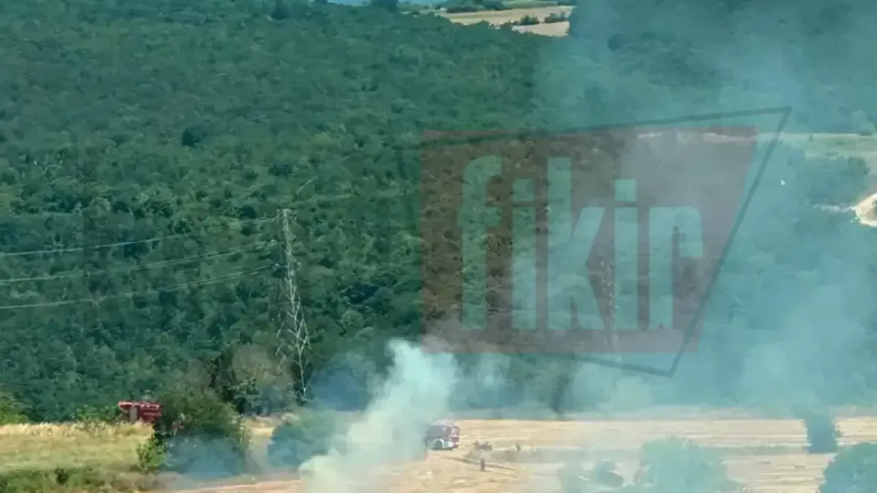 Muratköy’de yangın paniği: Tarım alanı kül oldu!