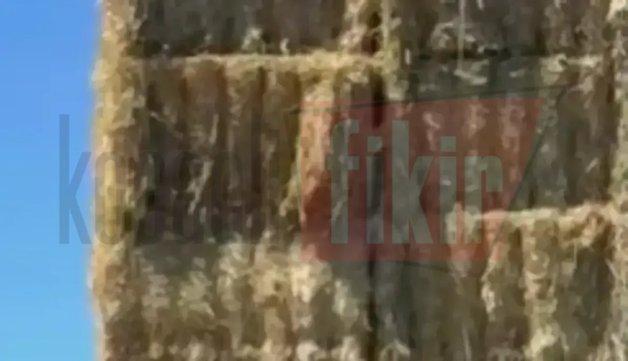 Kilolarca yükü hiçbir önlem almadan taşıdı
