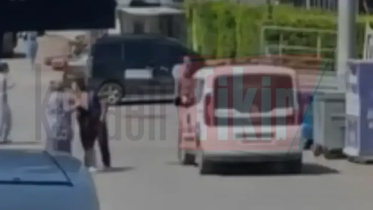Sahipsiz köpek ihbarı mahalleyi karıştırdı