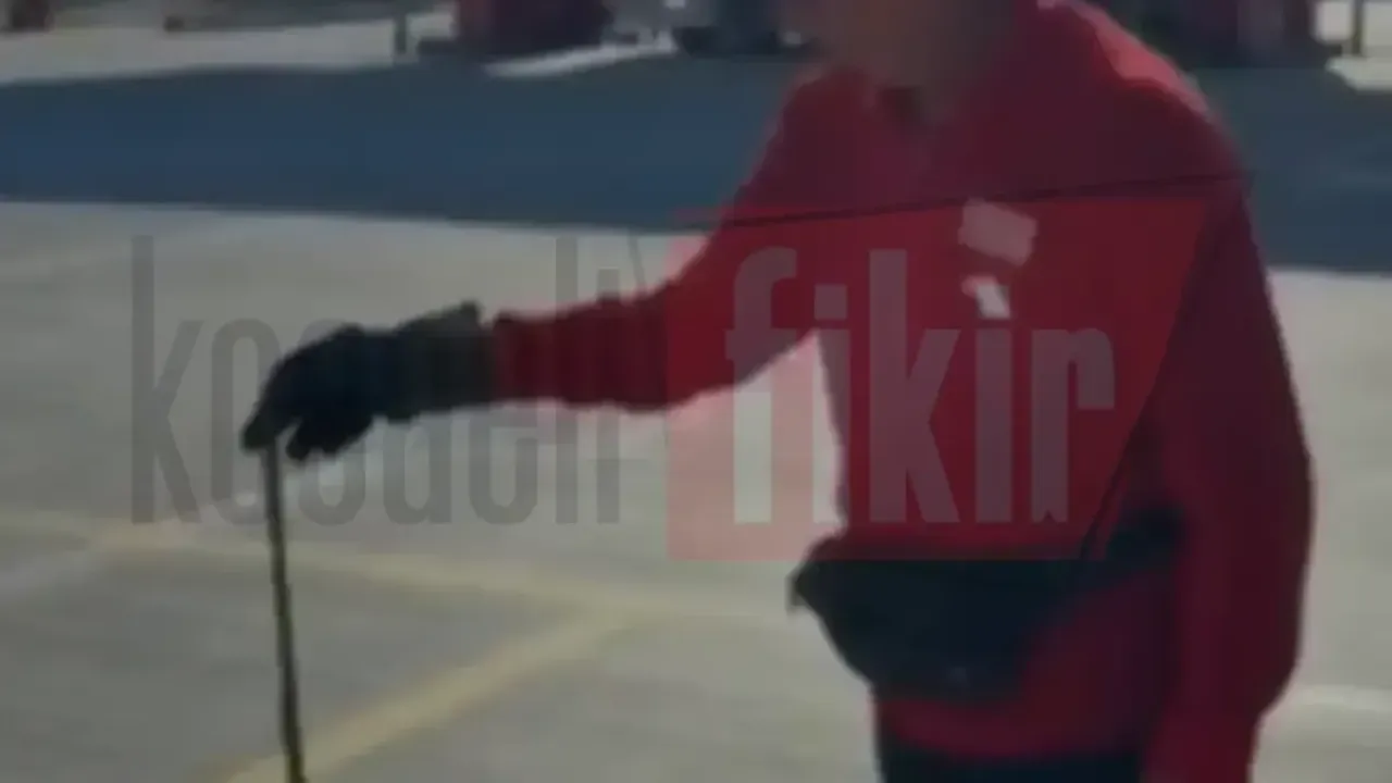 Tırın dorsesinden yılan çıktı