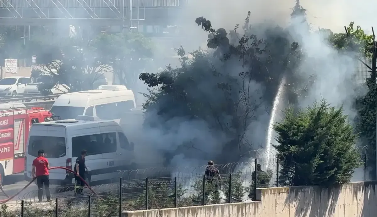 Gebze'de ağaçalar alevler içinde kaldı