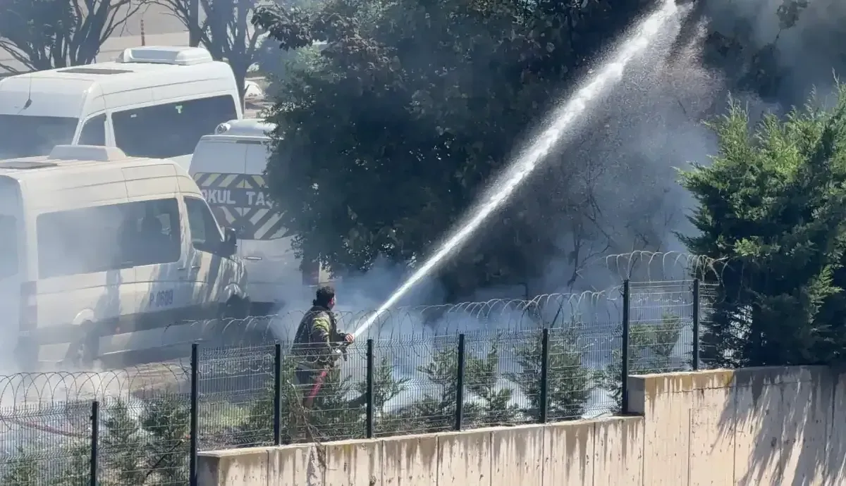 Gebze'de ağaçalar alevler içinde kaldı