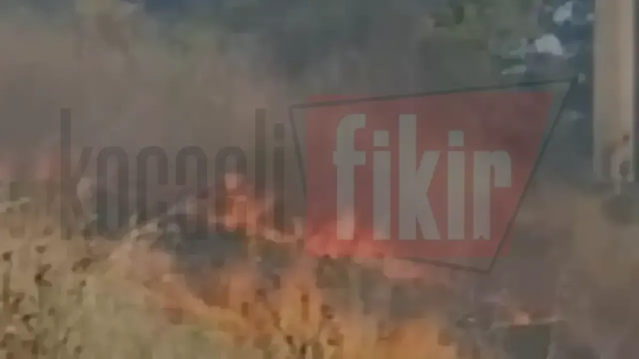 Gündoğdu Mahallesi'nde yangın paniği: Ekipler seferber oldu