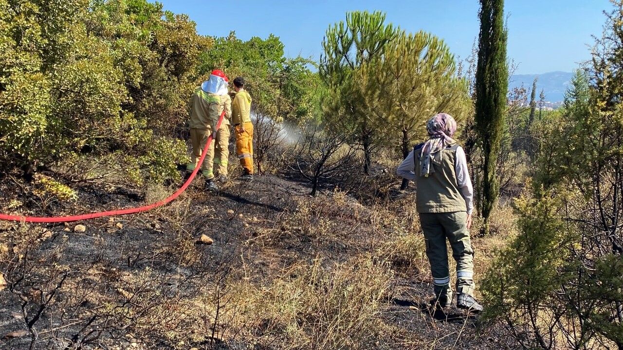 Dilovası’nda orman yangınında 10 hektarlık alan zarar gördü