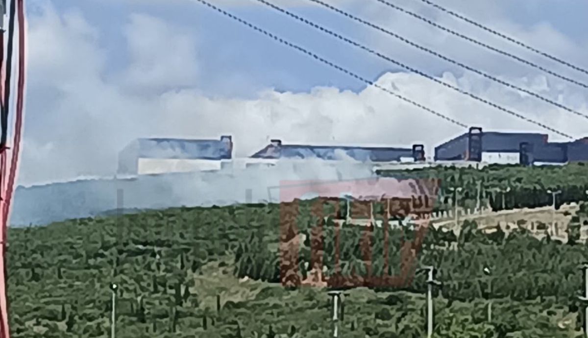 Dilovası OSB’de orman yangını! Alevler rüzgarla büyüdü