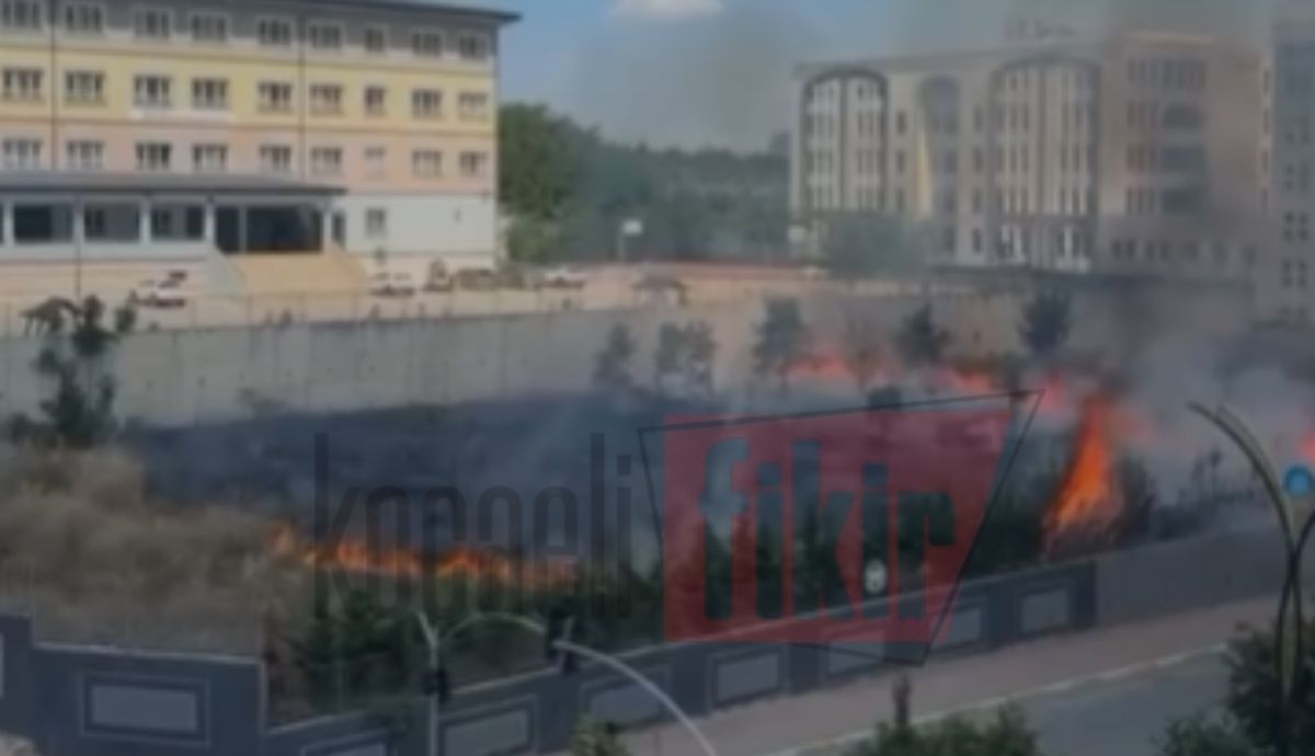 Gebze Adliyesi’nin bahçesinde yangın paniği! Alevler ağaçlara sıçradı