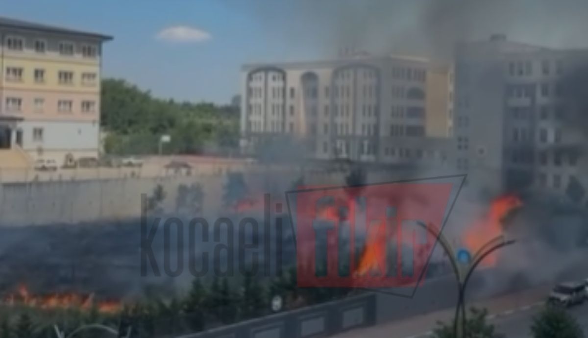 Gebze Adliyesi’nin bahçesinde yangın paniği! Alevler ağaçlara sıçradı