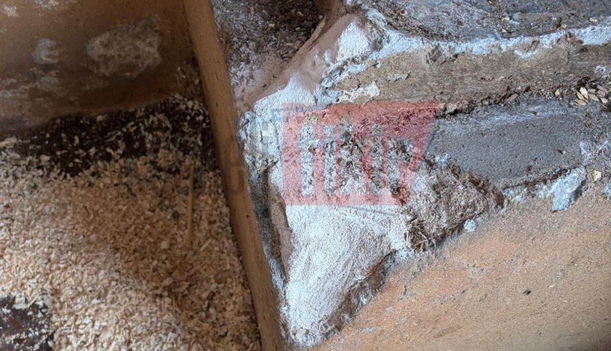 Kocaeli Atlı Spor Kulübü’nde korkutan ölüm! At sahipleri isyan etti
