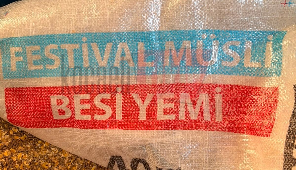 Kocaeli Atlı Spor Kulübü’nde korkutan ölüm! At sahipleri isyan etti
