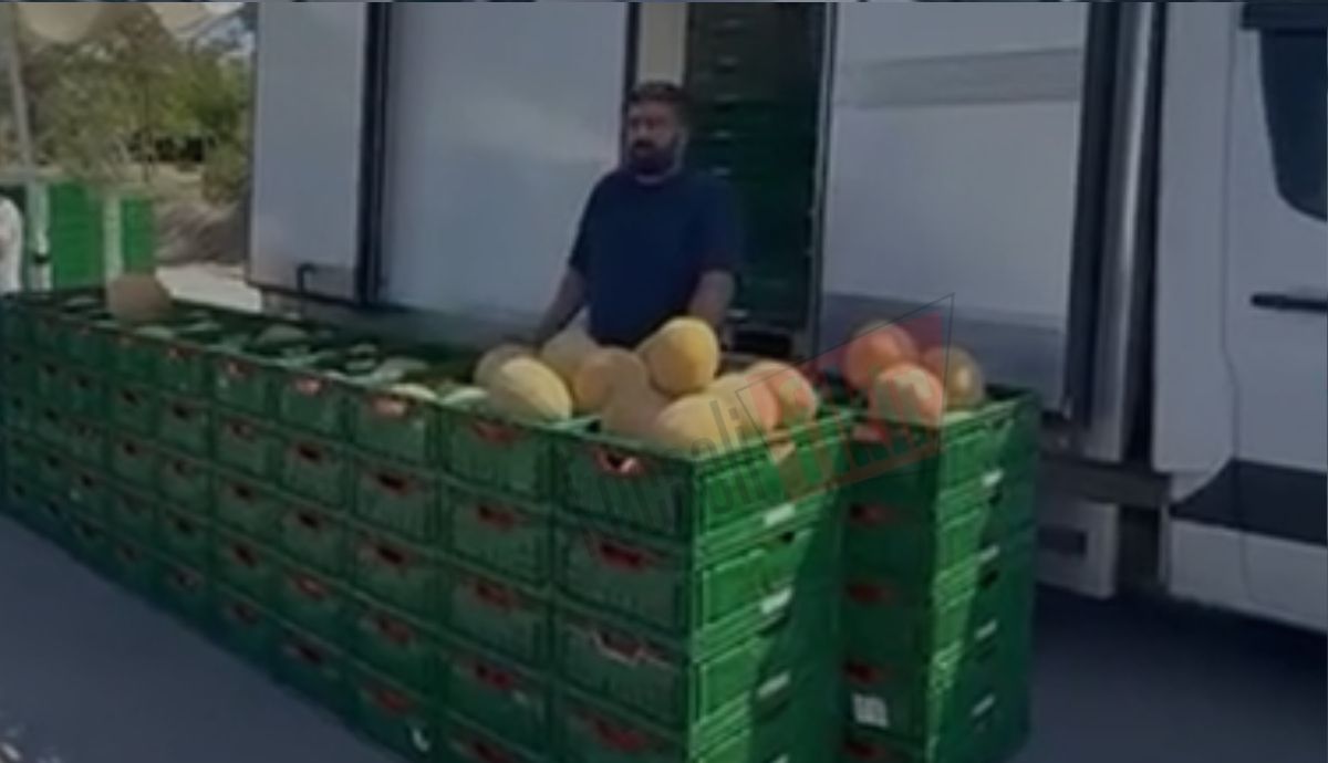 Körfezkent’te 4 ton kavun vatandaşlara ikram edilecek