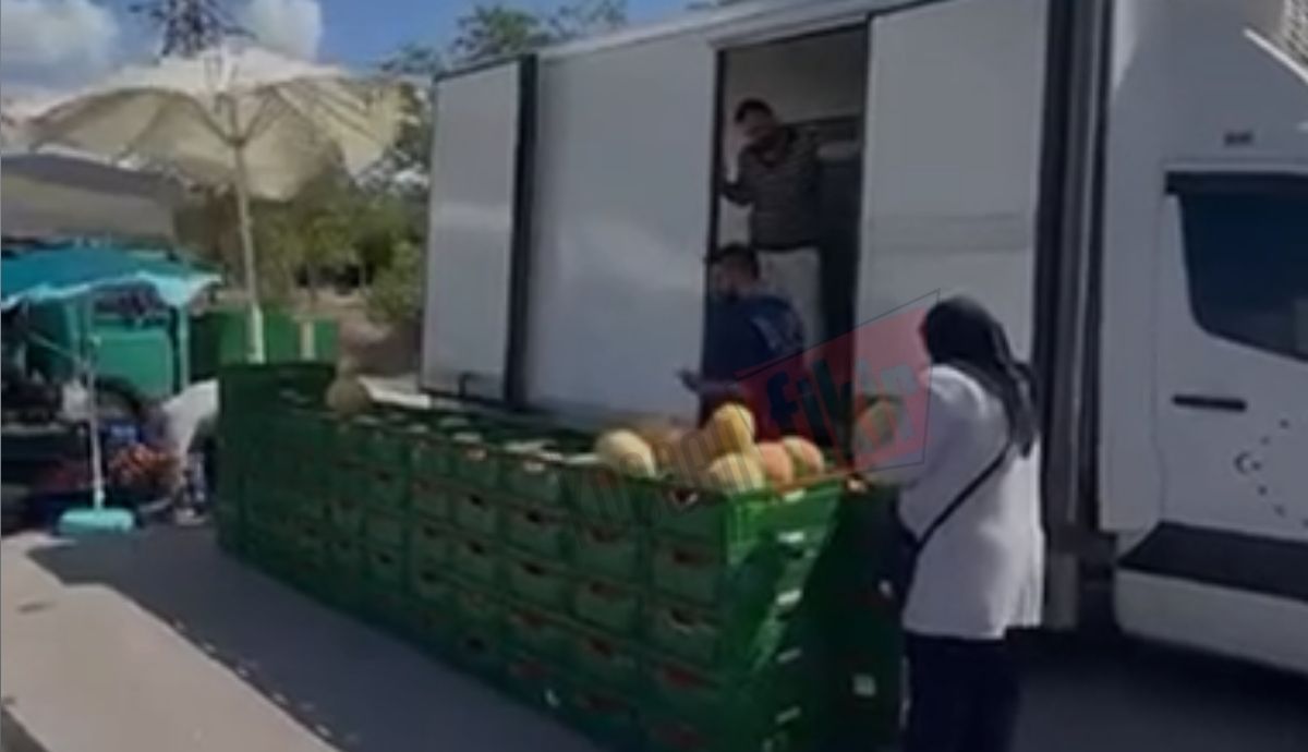 Körfezkent’te 4 ton kavun vatandaşlara ikram edilecek