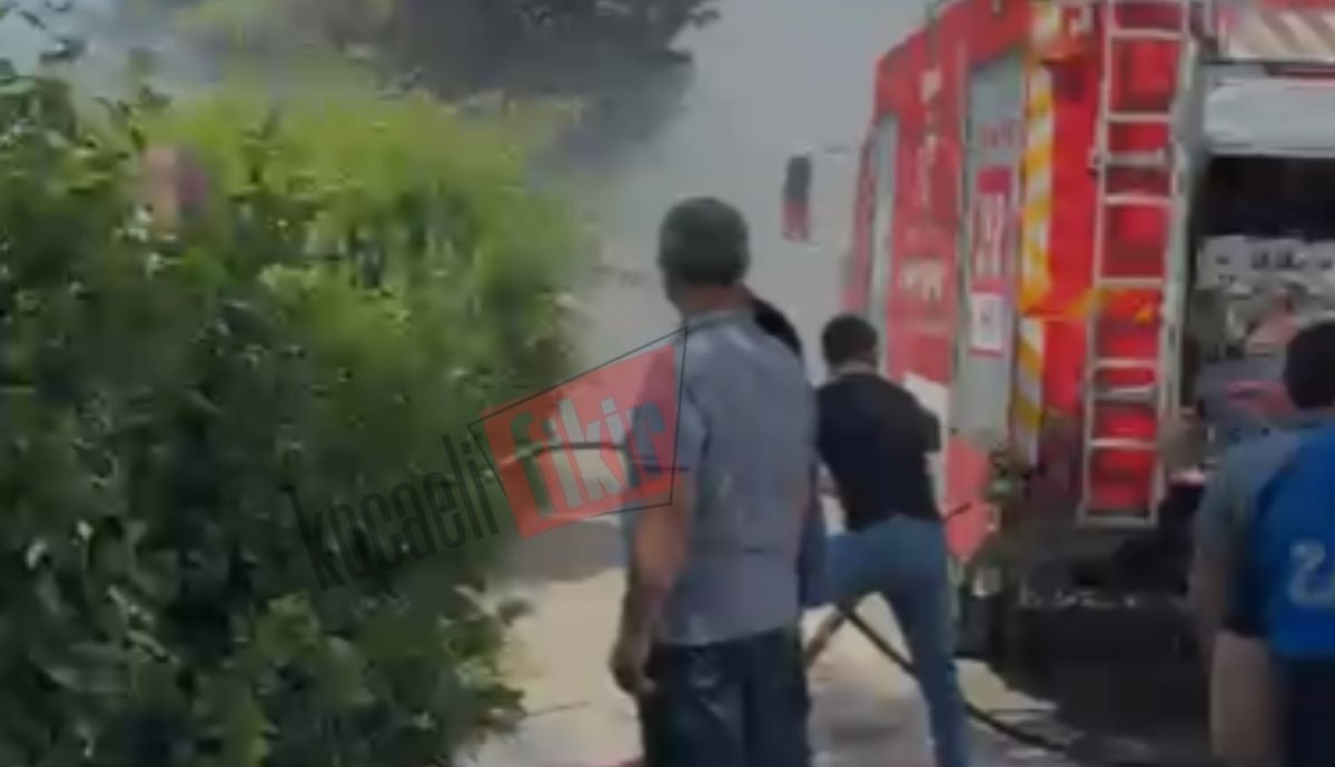 Seyir halindeki TIR alevlere teslim oldu!