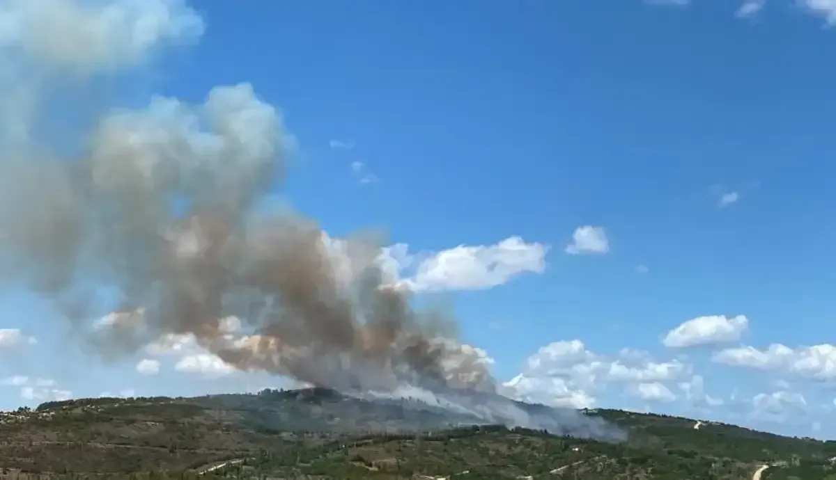 Gebze'deki yangın havadan ve karadan müdahaleyle söndürüldü