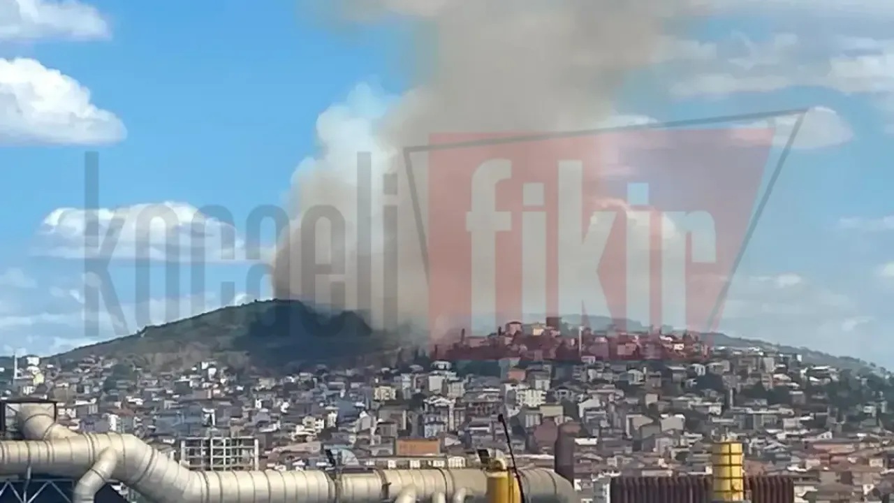Gebze'de kent ormanı cayır cayır yanıyor