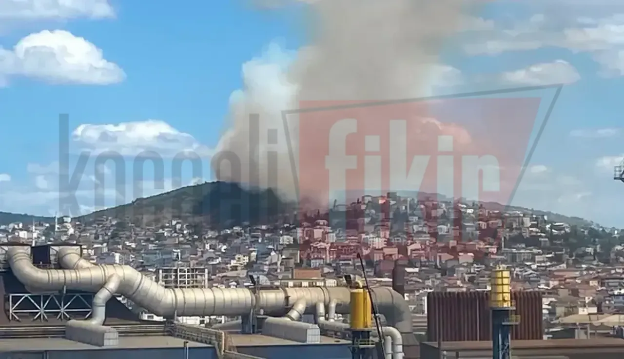 Gebze'de kent ormanı cayır cayır yanıyor
