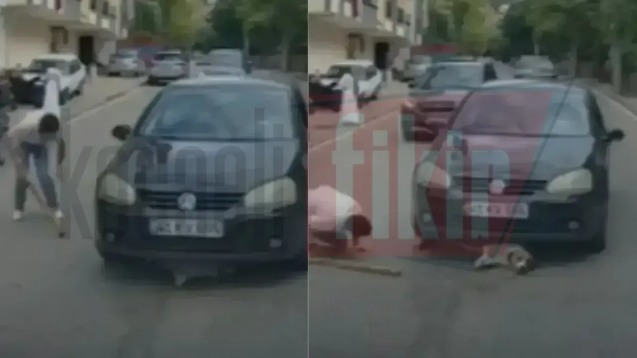 İzmit’te yürekleri ısıtan anlar! Mahsur kalan köpeği böyle kurtardı