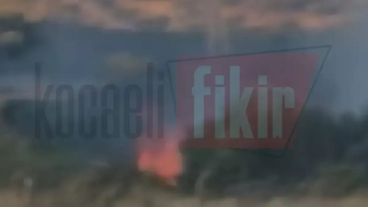 Gebze’de korkutan yangın! Otluk alan alevlere teslim oldu