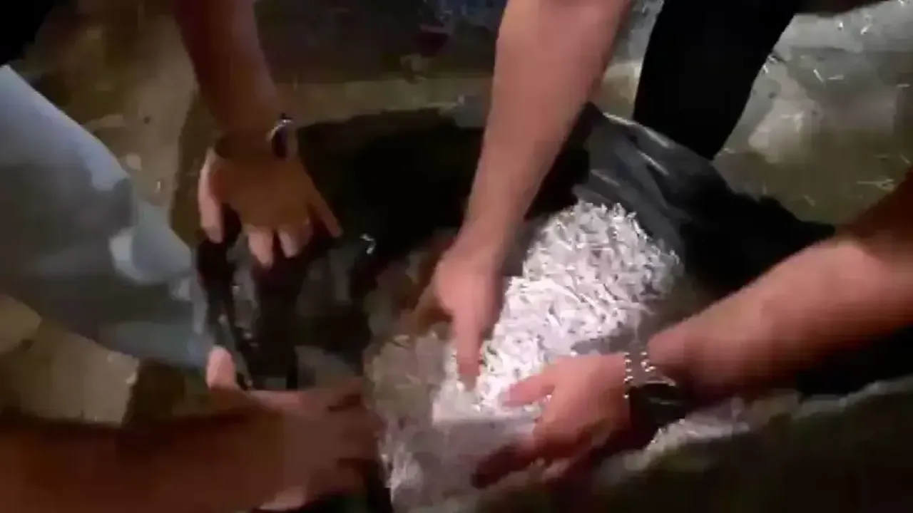 Süleymancılar operasyonunda yeni gelişme: Belgeler imha edildi