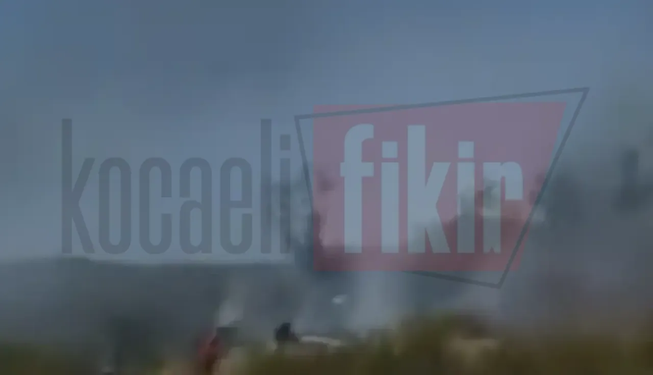 Körfez'de otluk alan alevlere teslim oldu