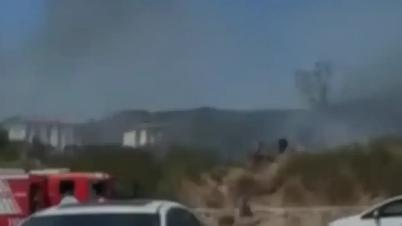 Körfez'de otluk alan alevlere teslim oldu
