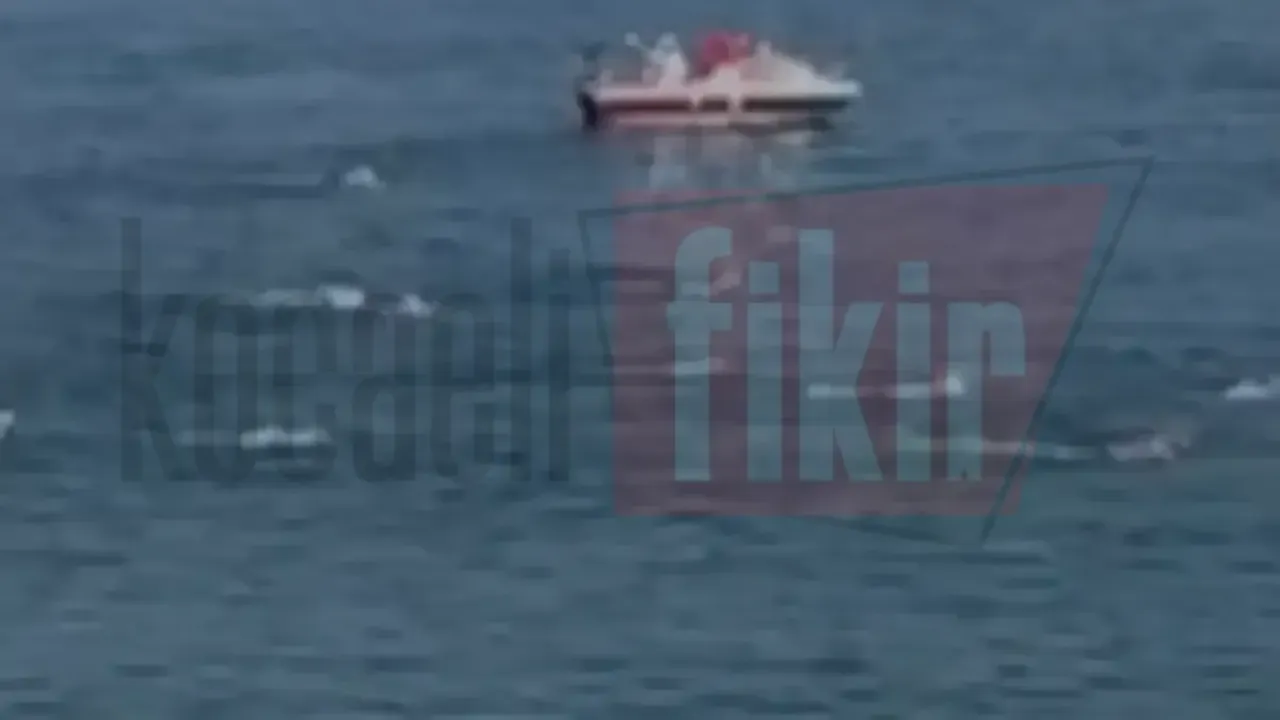 Lisanslı sporcular Gölcük'te kulaç attı